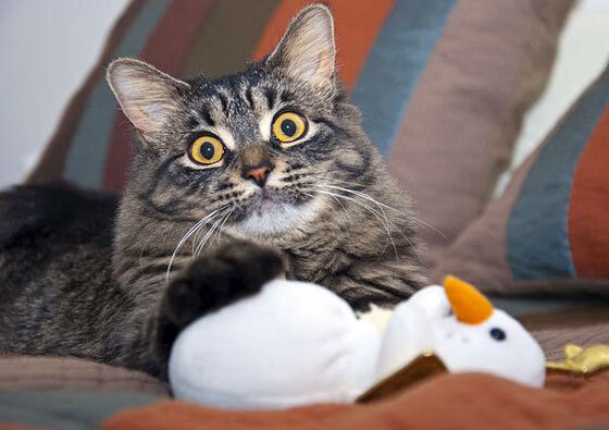 哈登赛后自曝曾带伤出战，哈登赛后自曝曾带伤出战的球员