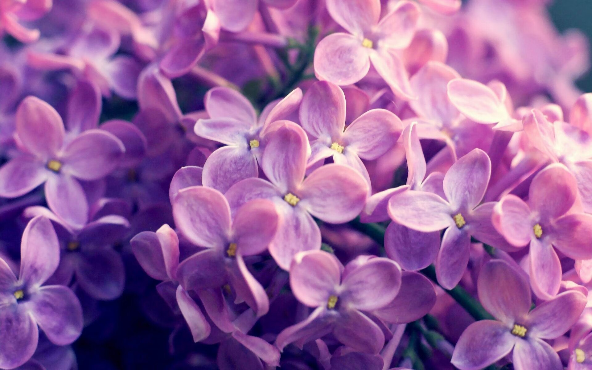 开云体育在线下载-塞尔维亚男篮在欧洲预赛中奋勇追击，冲击奥运荣耀！，塞尔维亚国家男篮