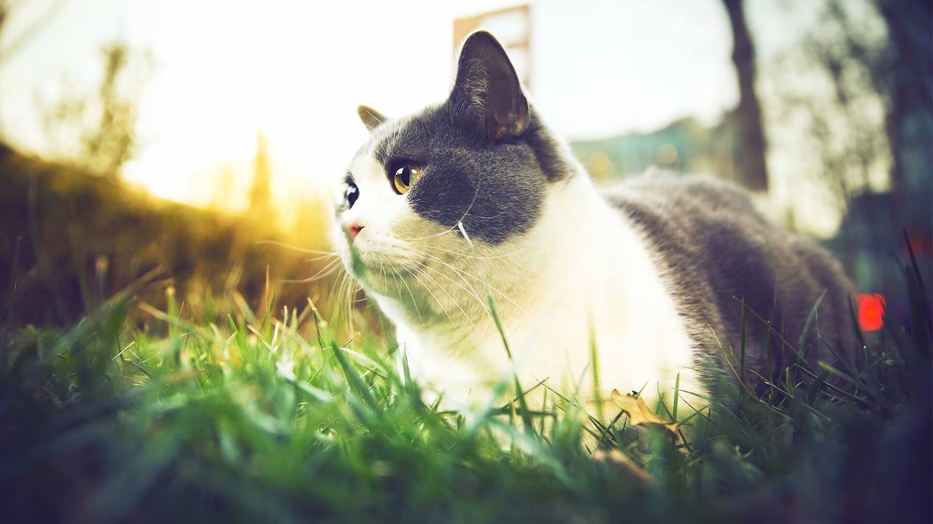 女子篮球青训强调实战对抗提升综合应变能力，女子篮球队训练内容