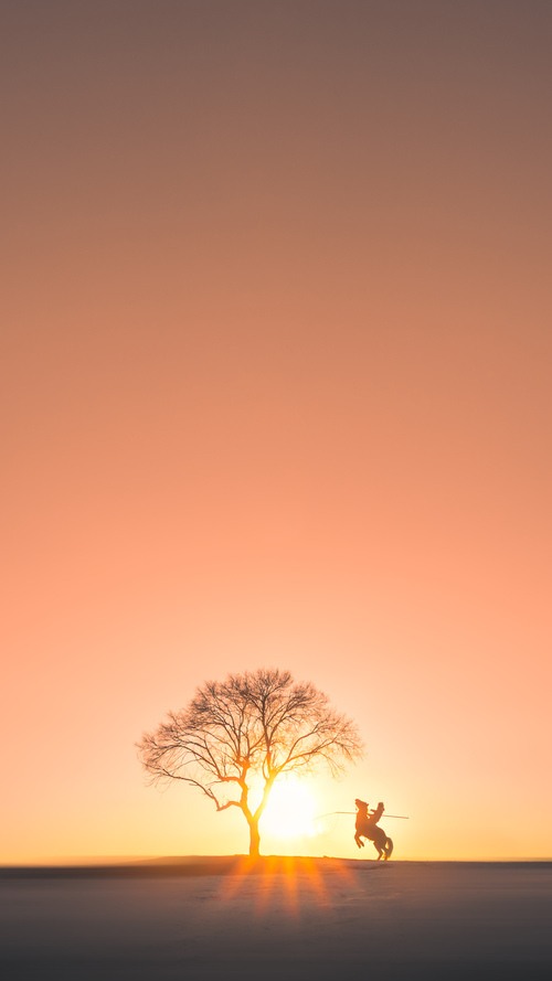 德甲赛事的安全保障体系完善,德甲赛制规则