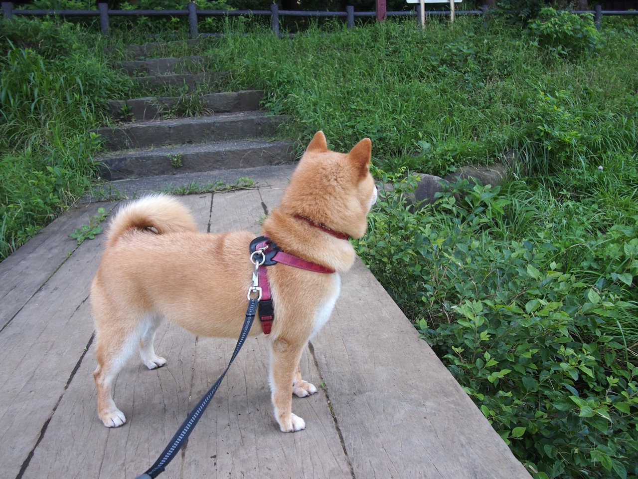 恩多耶-布鲁阿尔冲刺阶段展现王者气质，恩布里奥百度百科