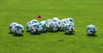 开云体育平台-中国足球运动员营养健康研究，作为国家足球队的营养师