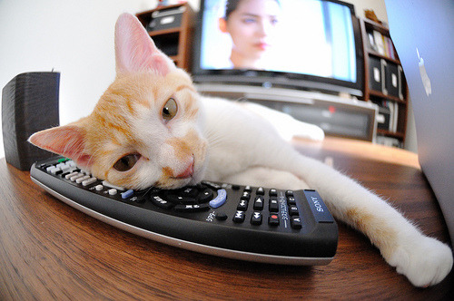 中国足球运动员营养健康研究，作为国家足球队的营养师